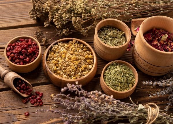 Medicinal Plants-Kathleens-Nook.com