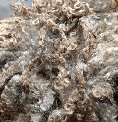 Raw Fleece- washing and drying- kathleens-nook.com