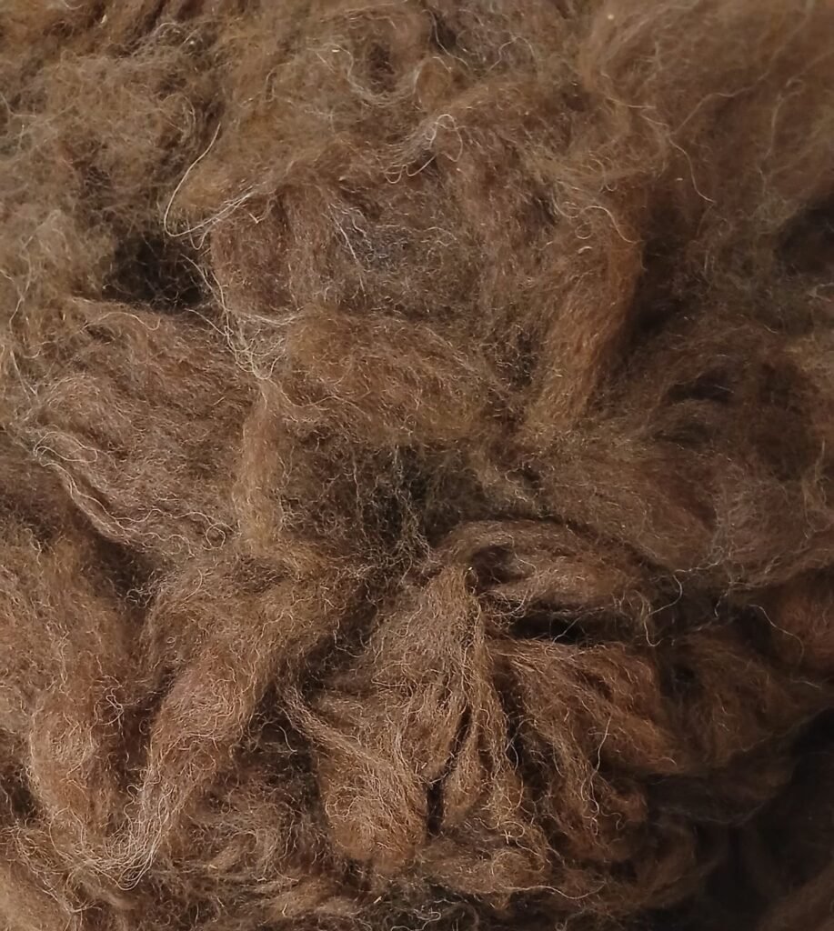 Alpaca fleece- kathleens-nook.com