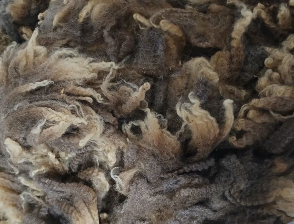 raw wool- kathleens-nook.com