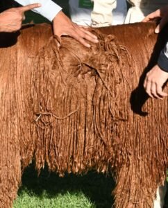 Suri Alpaca Fiber- kathleens-nook.com